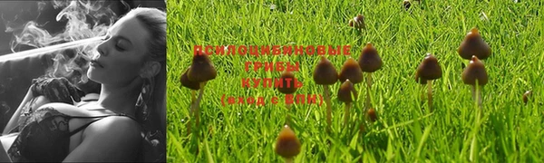 COCAINE Новозыбков