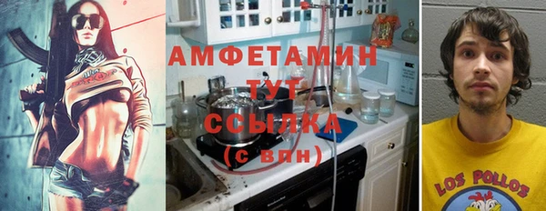 ГАЛЛЮЦИНОГЕННЫЕ ГРИБЫ Новодвинск